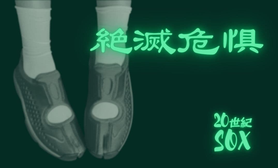 共鳴
